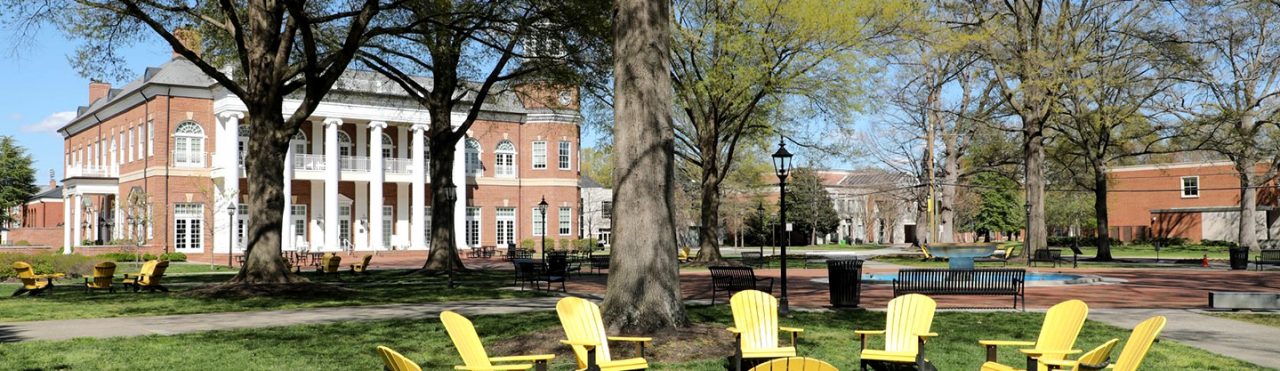 Randolph-Macon College – Working With JobElephant | Jobelephant